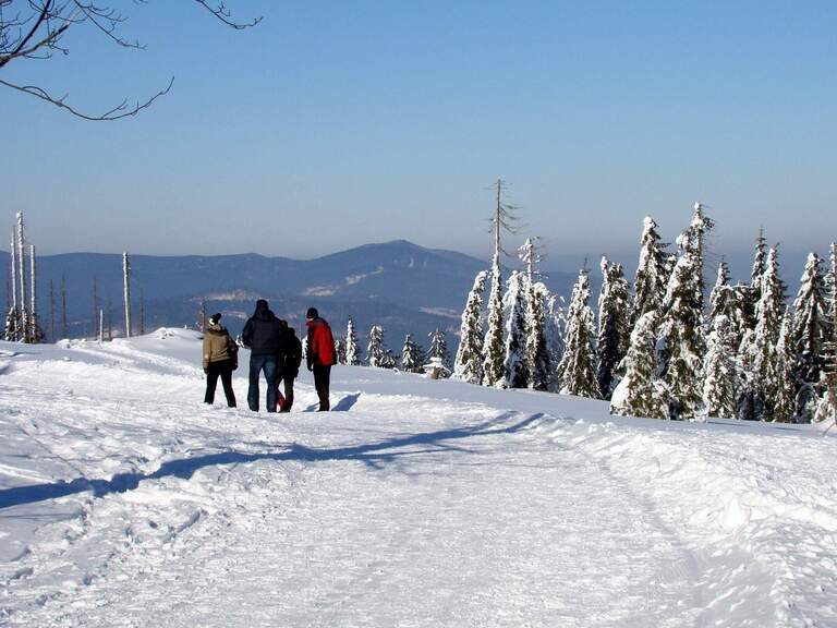 Gruppe beim Winterwandern im Bayerischen Wald auf verschneiter Höhe mit Blick in die Ferne.